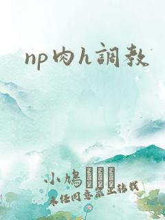 np肉h调教
