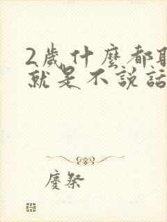 2岁什么都听懂就是不说话