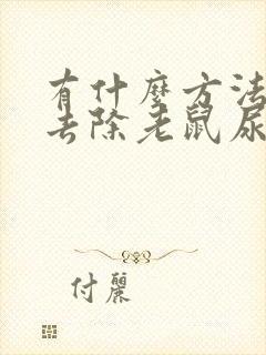 有什么方法可以去除老鼠尿味臭味?