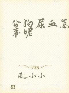 公狗尿血怎么回事呢