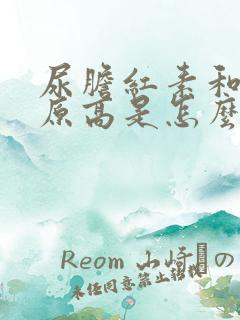 尿胆红素和尿胆原高是怎么回事