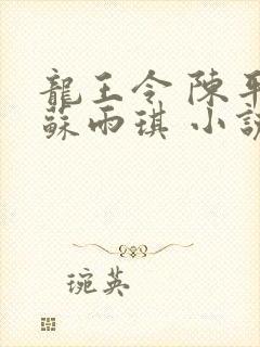 龙王令 陈平,苏雨琪 小说