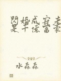 闪婚成宠老公竟是千亿富豪