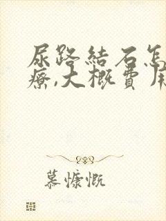 尿路结石怎么治疗,大概费用多少