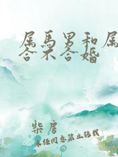 属马男和属虎女合不合婚