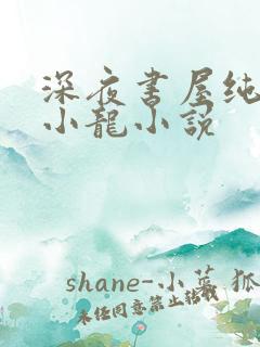 深夜书屋纯洁滴小龙小说