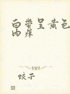 白带呈黄色阴道内痒