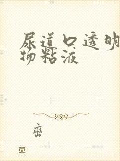 尿道口透明分泌物粘液