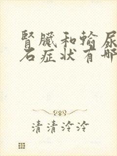 肾脏和输尿管结石症状有哪些