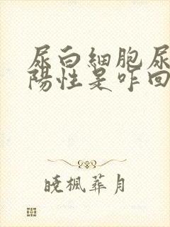 尿白细胞尿潜血阳性是咋回事