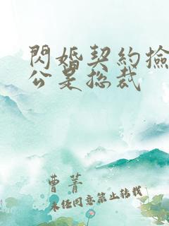 闪婚契约捡个老公是总裁