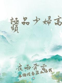 极品少妇高清视频