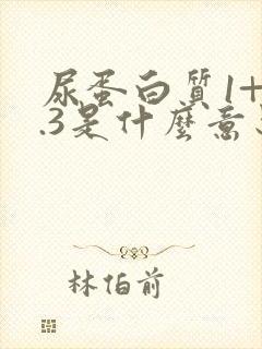 尿蛋白质1+0.3是什么意思