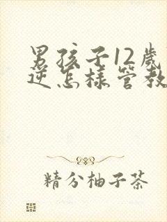 男孩子12岁叛逆怎样管教