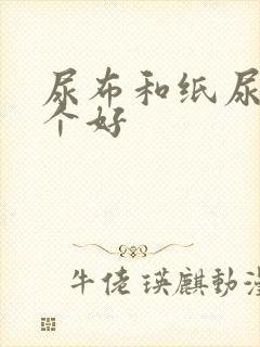 尿布和纸尿裤哪个好