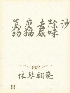 怎么去除沙发上的猫尿味