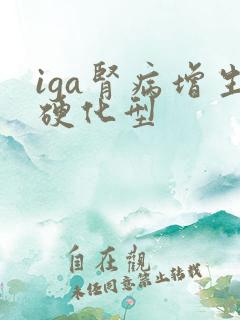 iga肾病增生硬化型