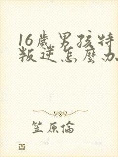 16岁男孩特别叛逆怎么办