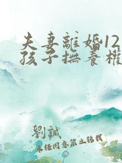 夫妻离婚12岁孩子抚养权怎么判定