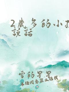 2岁多的小孩不说话