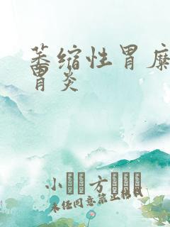 萎缩性胃糜烂性胃炎