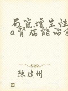 局灶增生性iga肾病能治愈吗