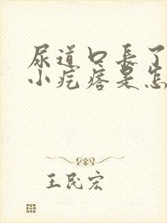 尿道口长了一圈小疙瘩是怎么回事