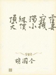 顶级独宠霍爷的天价小拽妻全文免费阅读