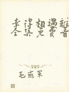 幸得相遇离婚时全集免费看