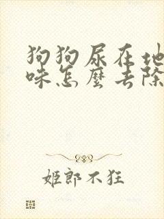 狗狗尿在地上骚味怎么去除