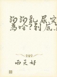 狗狗乱尿究竟是为啥?到底怎么办?