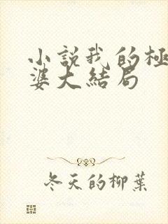 小说我的极品老婆大结局