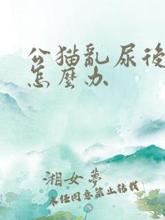 公猫乱尿后打猫怎么办