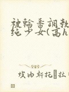 被轮番调教的清纯少女(高h