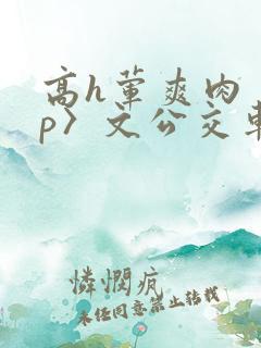 高h荤爽肉〈np〉文公交车