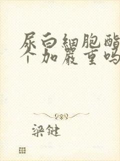 尿白细胞酯酶3个加严重吗