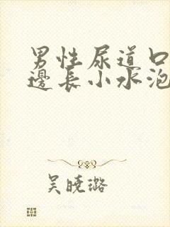 男性尿道口的边边长小水泡