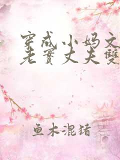 穿成小妈文学的老实丈夫双男主小说