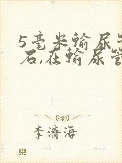 5毫米输尿管结石,在输尿管上端不动