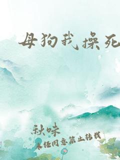 母狗我操死你