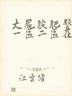 大屁股肥臀熟女一区二区在线