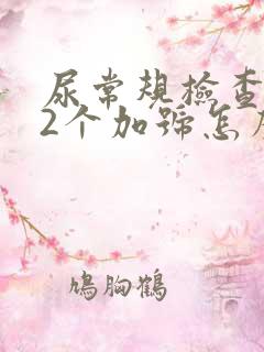 尿常规检查隐血2个加号怎么回事