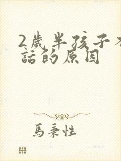 2岁半孩子不说话的原因