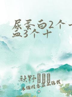 尿蛋白2个十隐血3个十