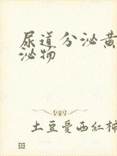 尿道分泌黄色分泌物