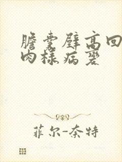 胆囊壁高回声息肉样病变