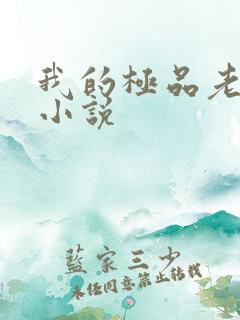 我的极品老婆的小说