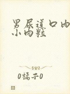 男尿道口内侧长小肉粒