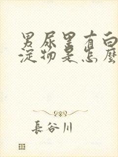 男尿里有白色沉淀物是怎么回事