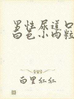 男性尿道口边有白色小肉粒